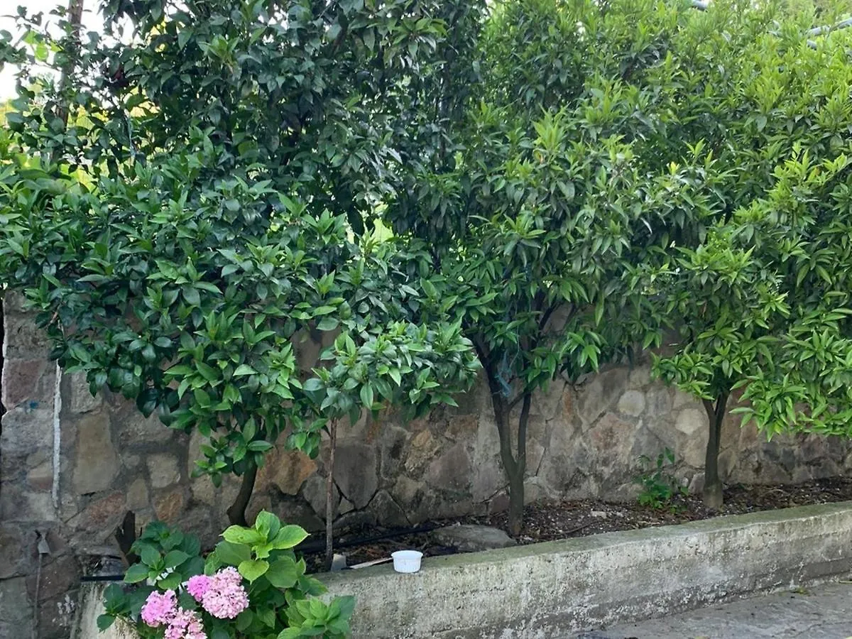 Alloggio in famiglia Isaraj Guest House Gjirokastër Albania