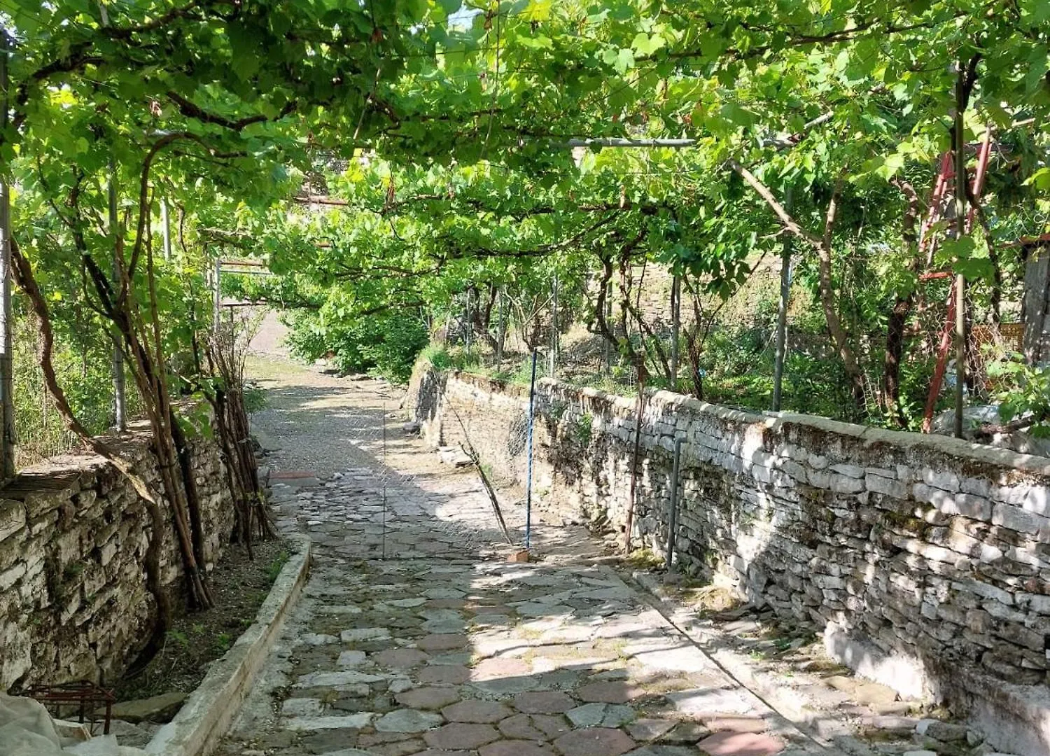 Isaraj Guest House Gjirokastër Alloggio in famiglia